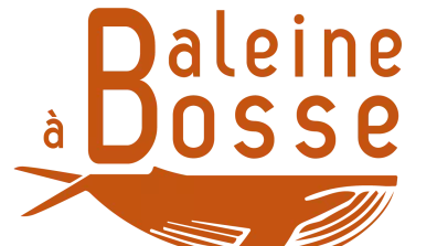 logo baleine à bosse